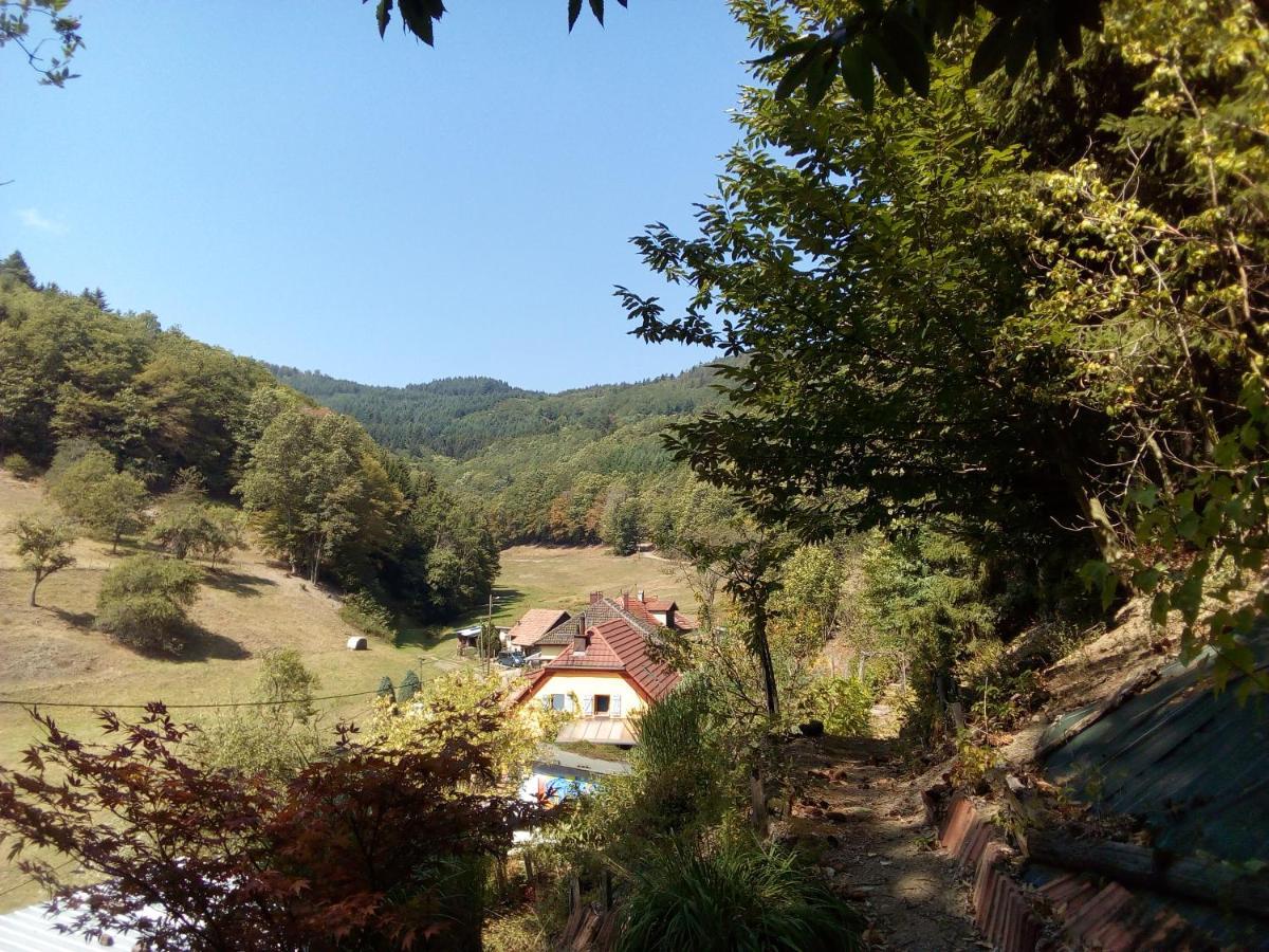 Hotel Abri De Jardin Amenage, Chambre Camping Glamour Lalaye Esterno foto